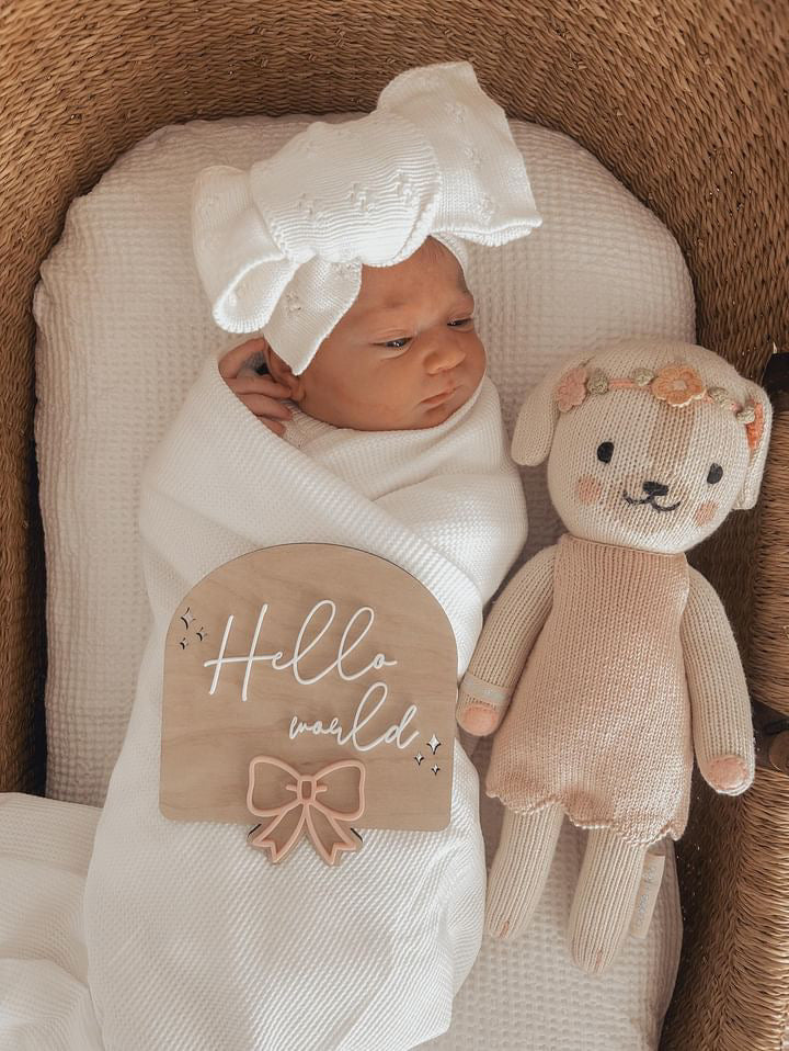 Born Babi Girl Baby Girl Birth Announcement Sign With Bow – Penny