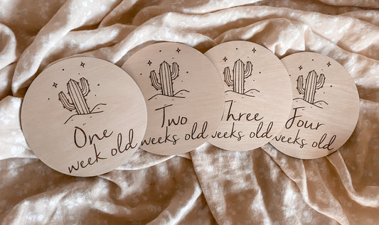 One to four weeks cactus milestone pack