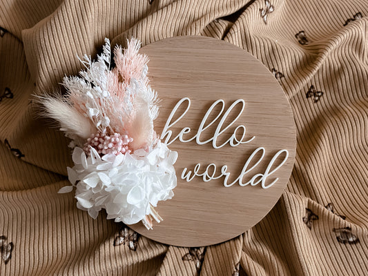 Hello world white and baby pink birth announcement