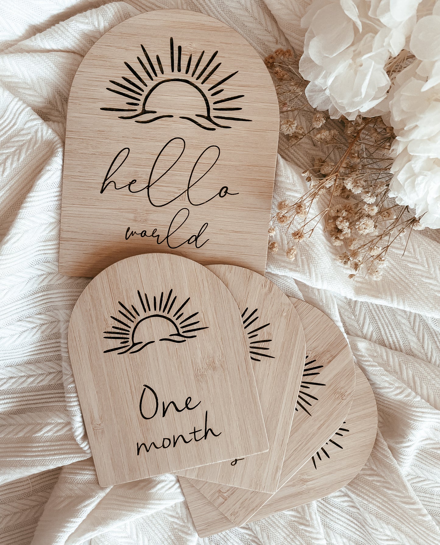 Hello world boho sun birth announcement and milestone pack