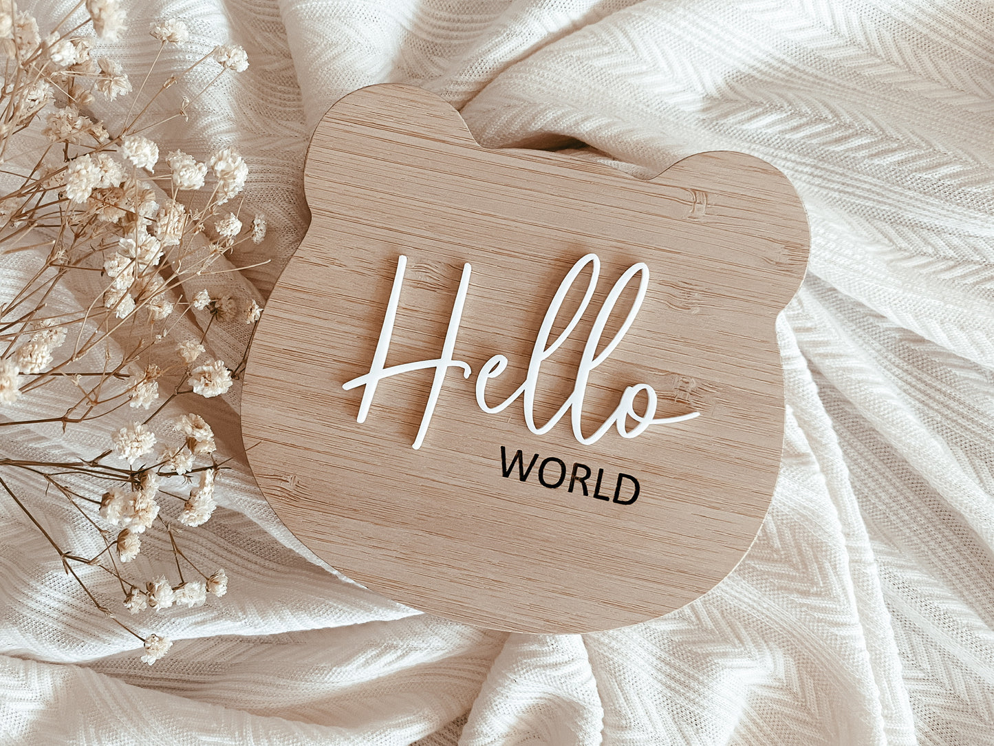 Hello world bear announcement sign